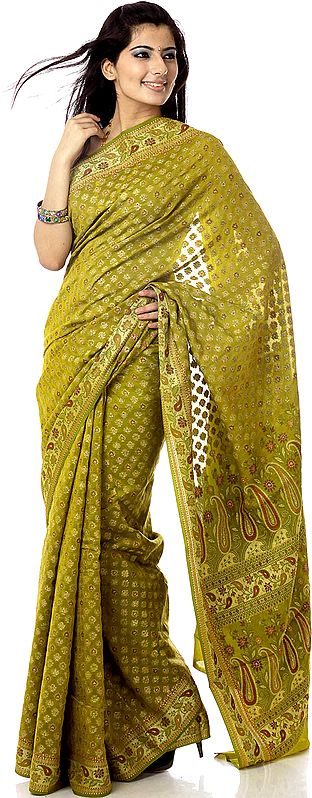 Moss-Green Floral Hand-woven Banarasi with Paisleys All-Over