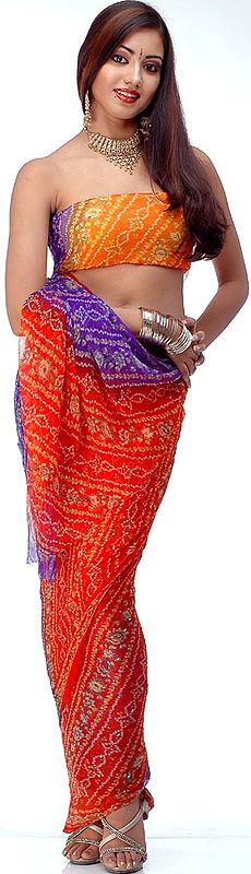 Multi-Color Bandhini Chiffon Sari from Gujarat