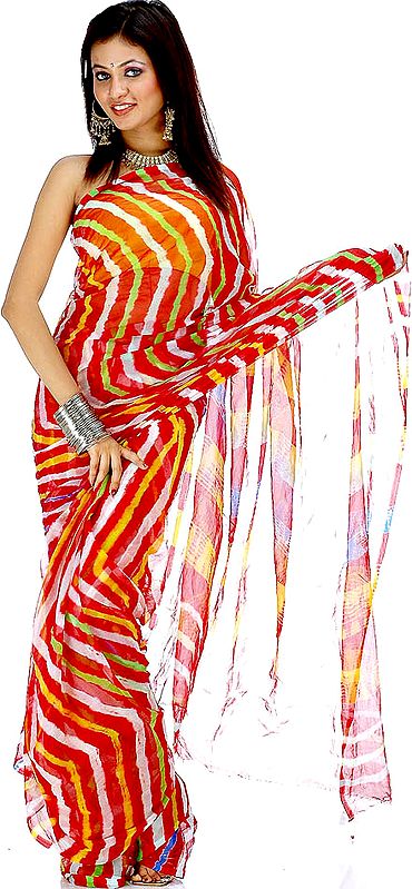 Multi-Color Sari with Geometrical Design from Gujarat