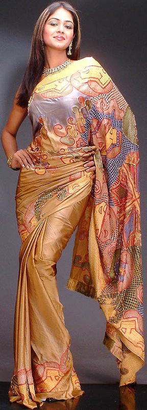 Multi-Color Wedding Sari with an Elaborate Pallau