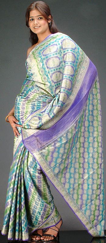 Multi-Shaded Banarasi Sari with Jacquard Weave