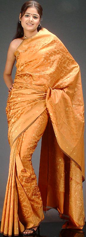 Mustard-Golden Banarasi Sari with Jaali Weave