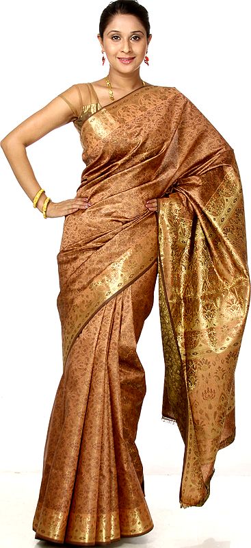 Muted-Clay Banarasi Sari with All-Over Tanchoi Weave and Brocade Anchal