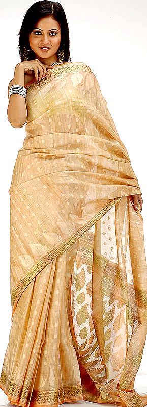 Navajo-White Tussar Sari Handwoven in Banaras