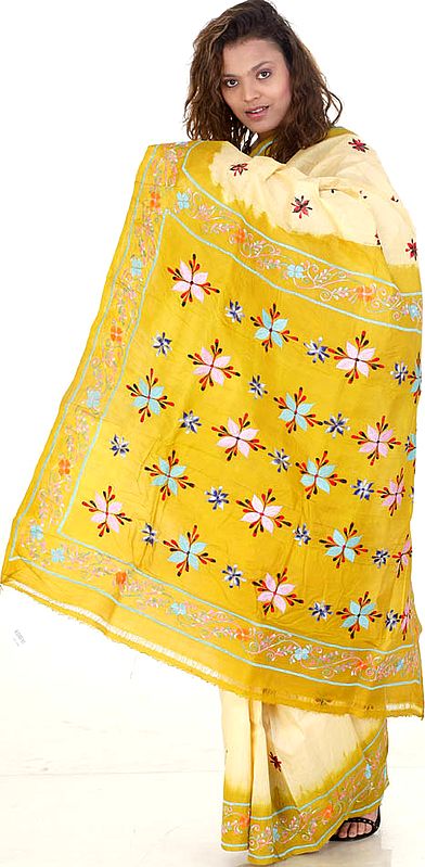 Old-Gold and Cream Tussar Sari with Aari Embroidery