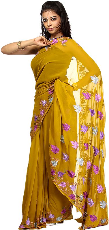 Old-Gold Sari from Kashmir with Aari Embroidered Chinar Leaves