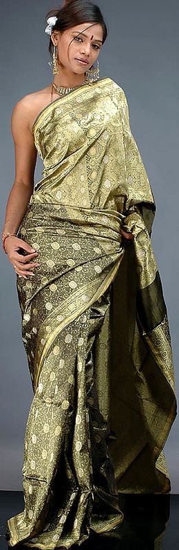 Olive and Golden Banarasi Sari with All-Over Tanchoi Weave