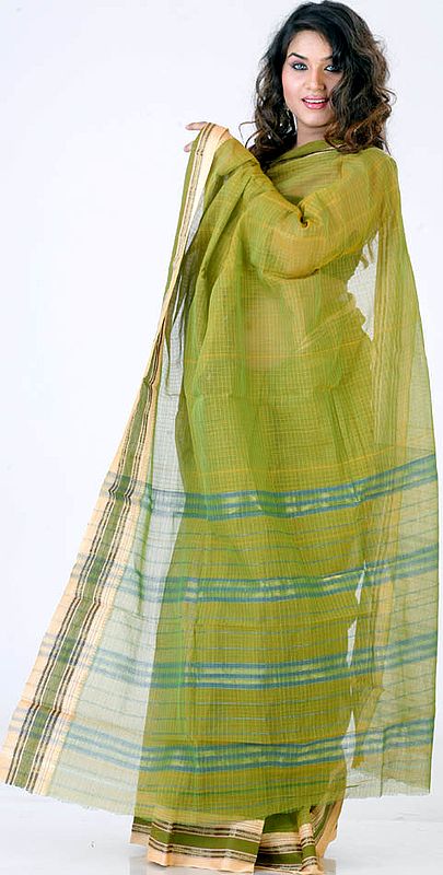 Olive Green Narayanpet Sari from Andhra Pradesh