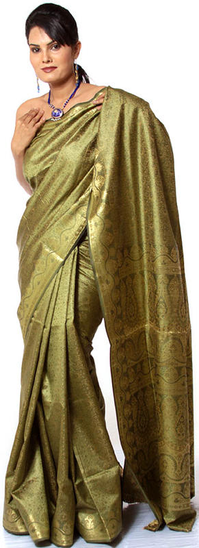 Olive-drab Green Tanchoi Sari from Banaras with Golden Thread Weave