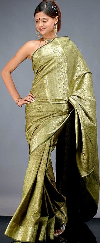 Olive-Green Jamawar Sari with Tanchoi Weave