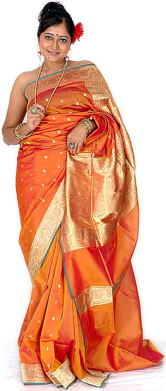 Orange Hand-woven Banarasi Sari with Intricate Pallu and Border