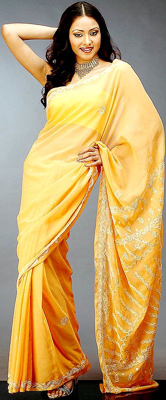Orange Lukhnavi Chikan Sari
