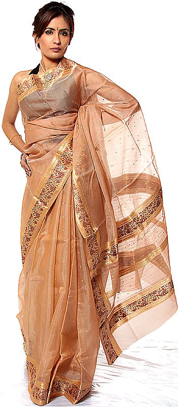 Pale-Brown Chanderi Sari with Golden Bootis and Brocaded Border