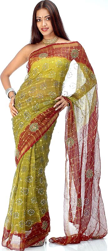 Pale-Olive Crush Sari with Golden Thread Weave from Gujarat