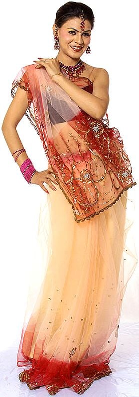 Peach and Red See-Through Sari with Beads and Sequins