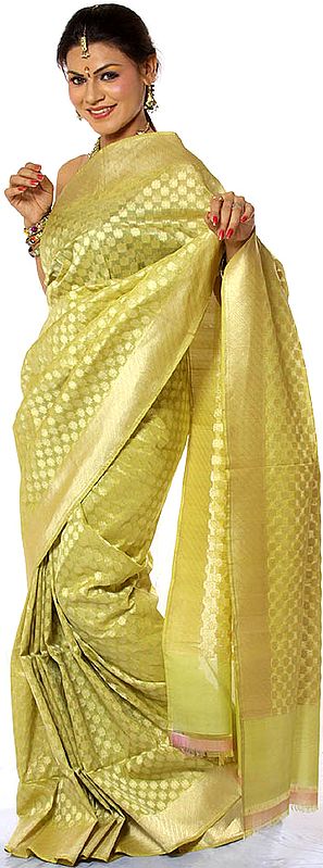 Pear-Green Banarasi Sari with All-Over Woven Bootis
