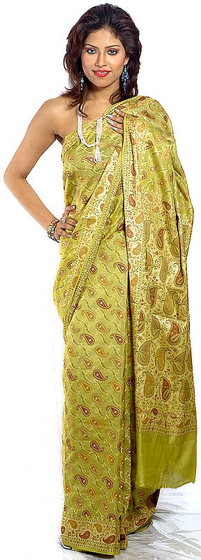 Pear-Green Banarasi Sari with Large Paisleys Woven All-Over