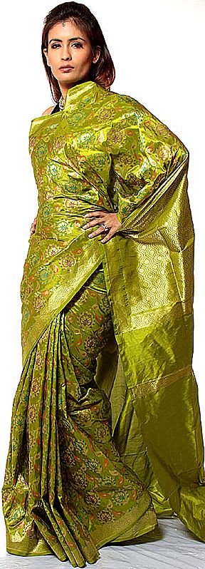 Pear-Green Meenakari Sari from Banaras with All-Over Flowers Woven in Multi-Color Thread