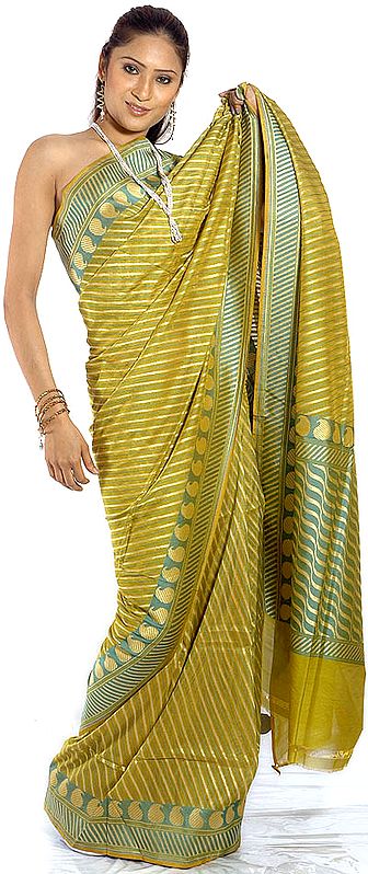 Pear-Green Sari from Banaras with Paisleys and Diagonal Weave