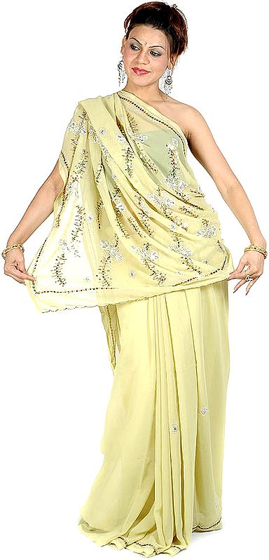 Pear-Green Sari with Sequins and Large Beads