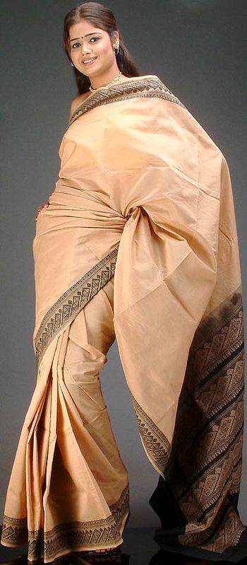 Plain Bisque Sari with Black Thread Work on Border and Pallau