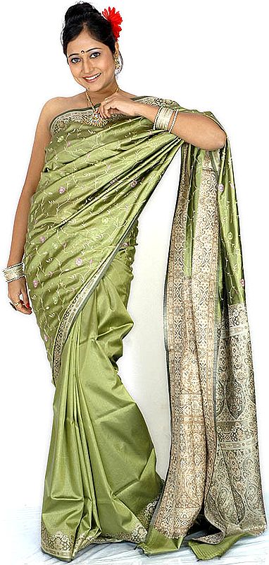 Plain Olive-Green Banarasi Sari with Embroidery on Anchal