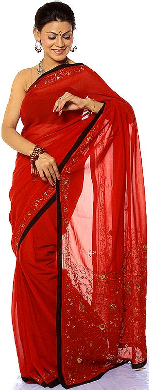 Plain Red Sari with Parsi Embroidered Flowers on Border and Anchal