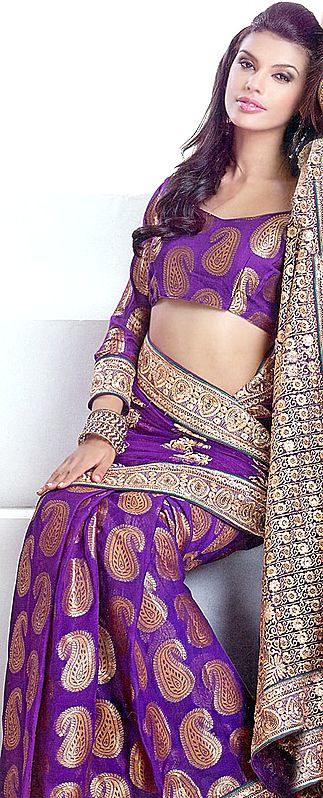 Purple Brocaded Sari with Woven Paisleys and Golden Thread Embroidery