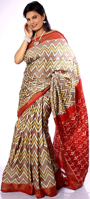 Rainbow Double Ikat Sari Hand-woven in Pochampally Village with Tissue Border