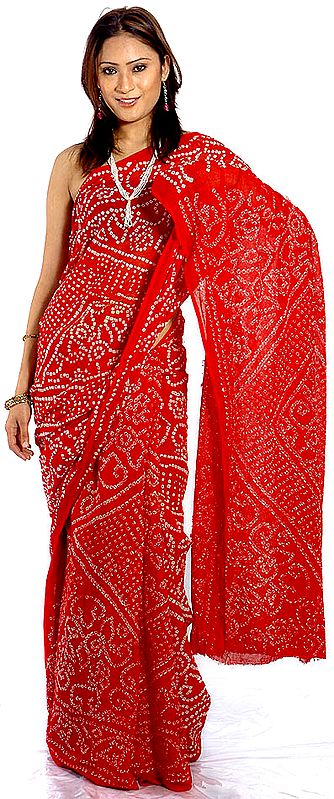 Red Bandhani Sari from Rajasthan