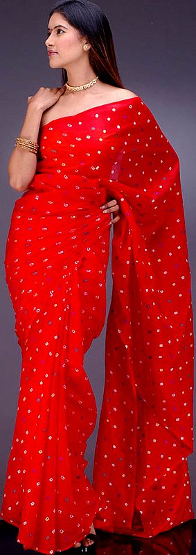 Red Bandhini Sari from Gujarat with Multi-Colored Bootis