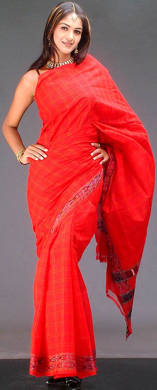 Red Sari with Checks and Ikat Border