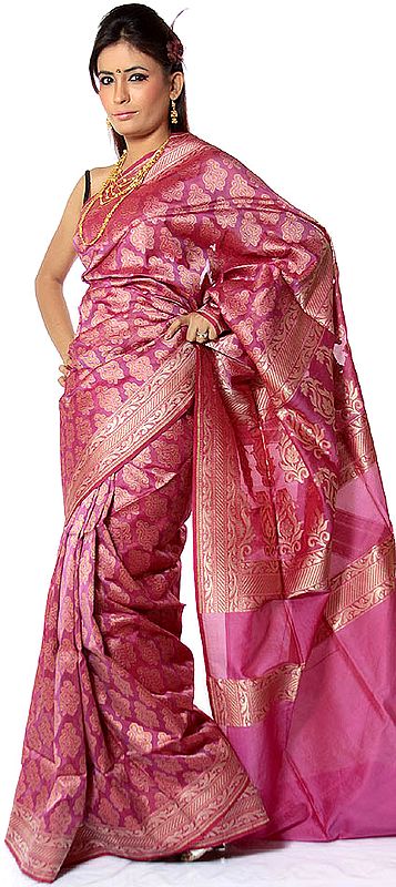 Ruby Jamdani Sari from Banaras with Woven Bootis All-Over