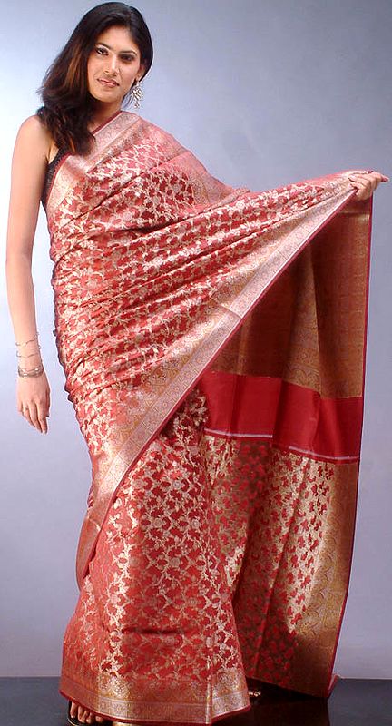 Rust Colored Banarasi Sari with Jaali Weave