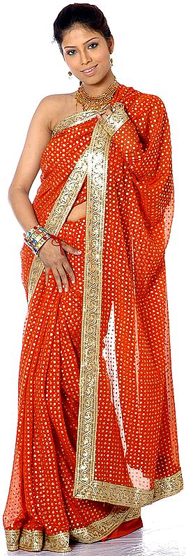 Rust Sari with All-Over Painted Bootis in Gold and Sequined Border