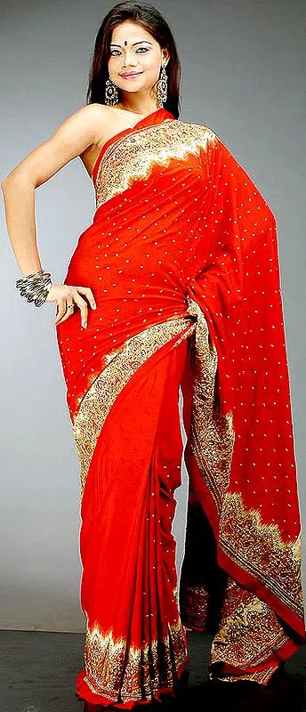 Rust Sari with Beads and Threadwork