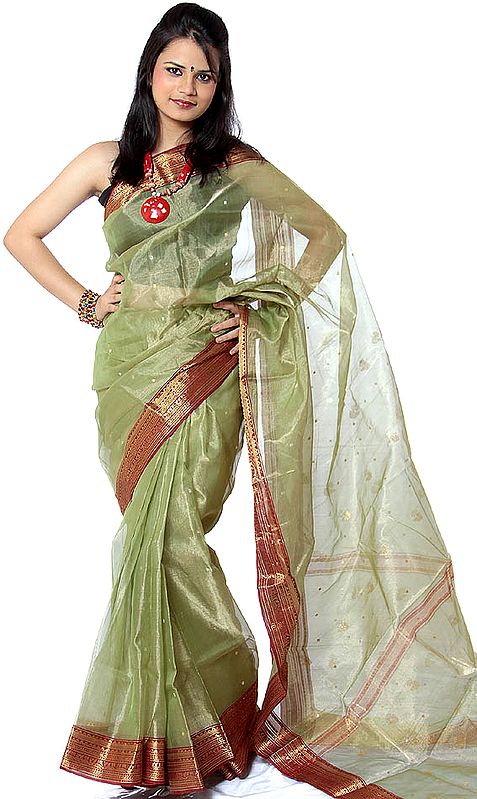Light-Green Chanderi Sari with Golden Bootis