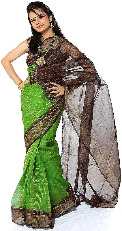 Lime-Green Gajji Silk Sari from Gujarat