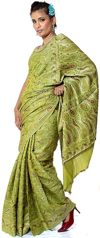 Chartreuse-Green Banarasi Sari with Jaal Weave