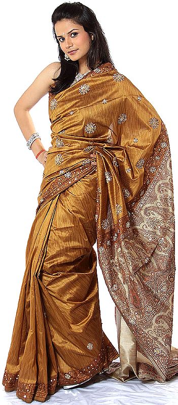 Golden-Oak Banarasi Sari with Beadwork and Sequins