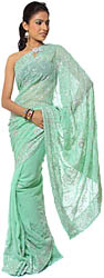 Hemlock-Green Sari with Sequins and Threadwork