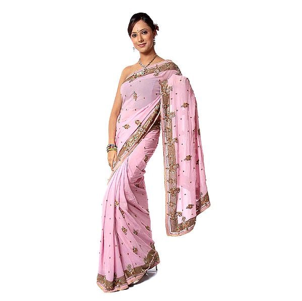 An Ornate Sari Designed with Universal Paisley Motifs