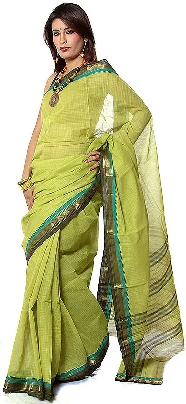 Green Narayanpet Sari with Woven Checks