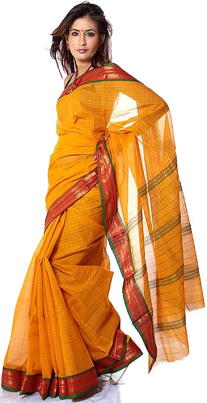 Amber Narayanpet Sari with Woven Checks
