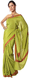 Lime-Green Sari from Kashmir with Intricate Sozni Embroidery by Hand on Borders