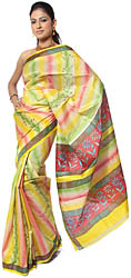 Multi-Color Sari from Kolkata with Printed Creepers