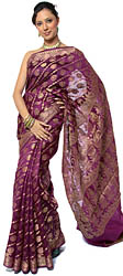 Purple Banarasi Sari with Woven Paisleys in Golden, Jute, and Copper Threads
