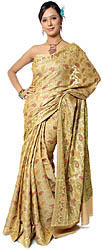 Beige Banarasi Sari with Woven Paisleys All-Over