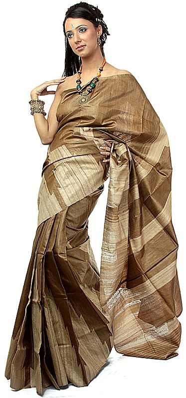 Brown Kosa Silk Sari from Jharkhand with Giant Temple Weave