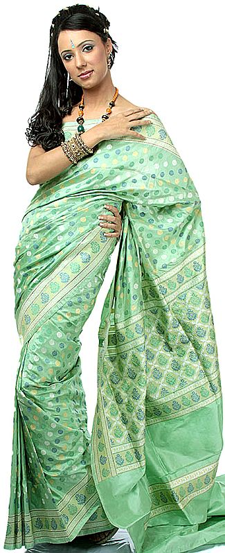 Nile-Green Sari from Banaras with All-Over Bootis Woven by Hand